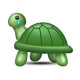 sad turtle